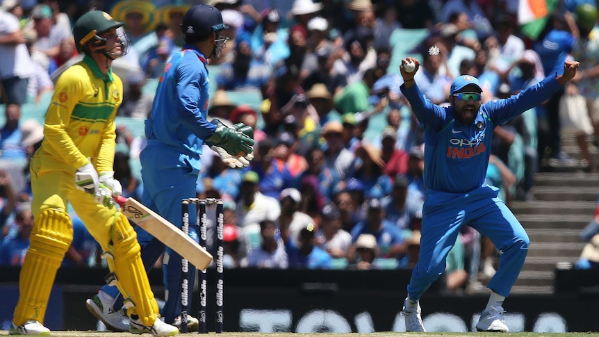 India's Rohit Sharma (R), celebrates catching out Australia's Alex Carey (L) in a ODI in Sydney.