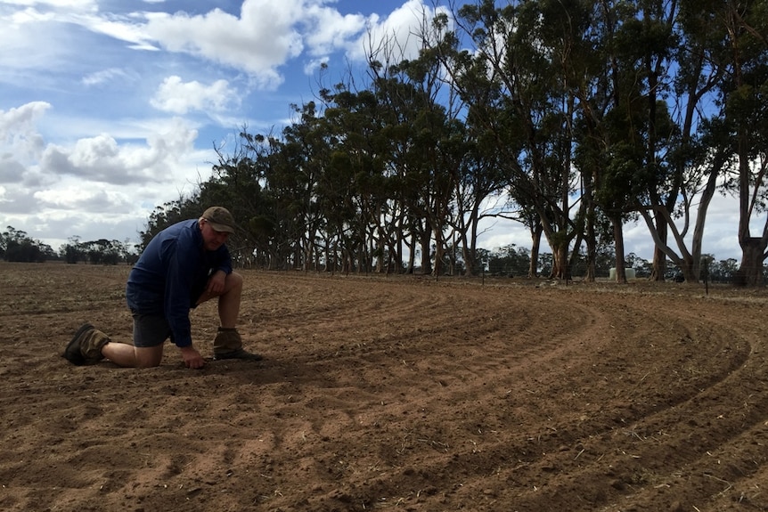South-east South Australian farmer Andrew Rohrlach