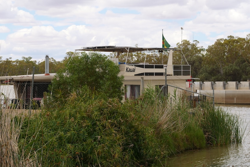 A houseboat with a green flag on a river, hidden behind green shrubs and plants. The sky is cloudy.