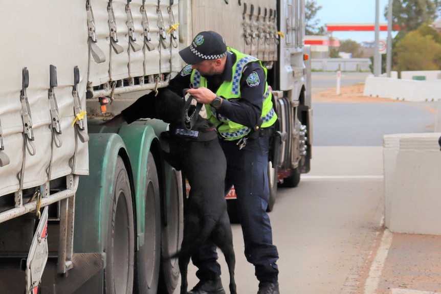 A police officer searches a truck trailer with a dog