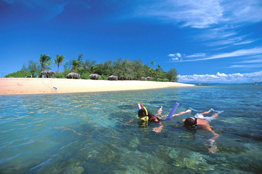 A woman and man snorkelling in blue water near an island.