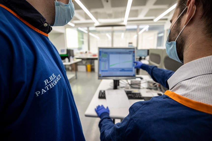 Pathology lab staff looking at a screen