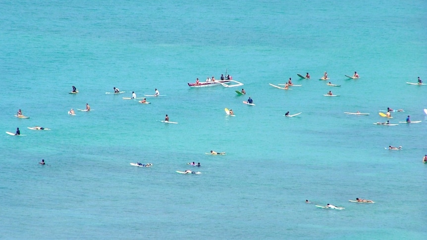 Crowded surf in Hawaii