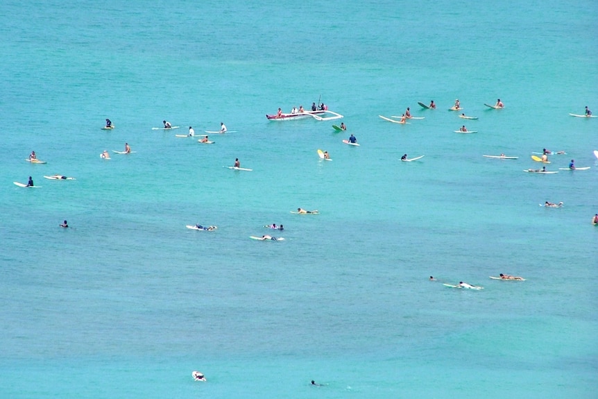 Crowded surf in Hawaii