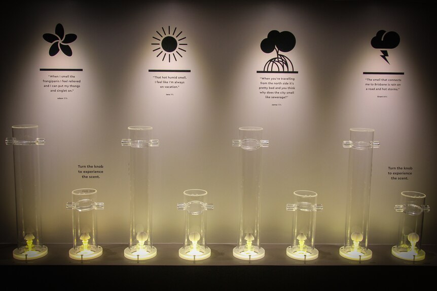 The four scents are captured in perspex tubes and oil defuses.
