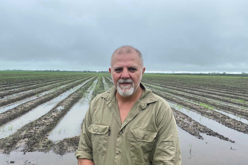 Cane grower stands in front of flooded fields.