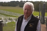 A grey haired man is looking at the camera with a vineyard behind him