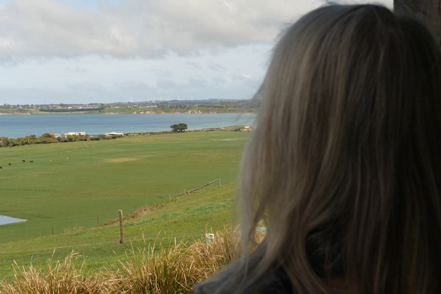 A coastal setting with the back of a person's head looking at it