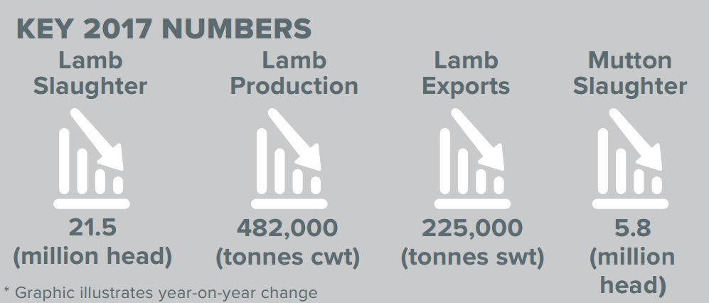a graphic shows how the number of lambs and mutton slaughtered this year is tipped to fall