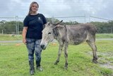 woman standing with a grey donkey