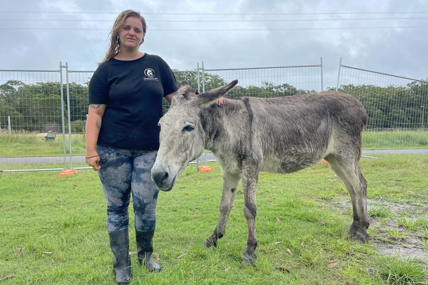 woman standing with a grey donkey