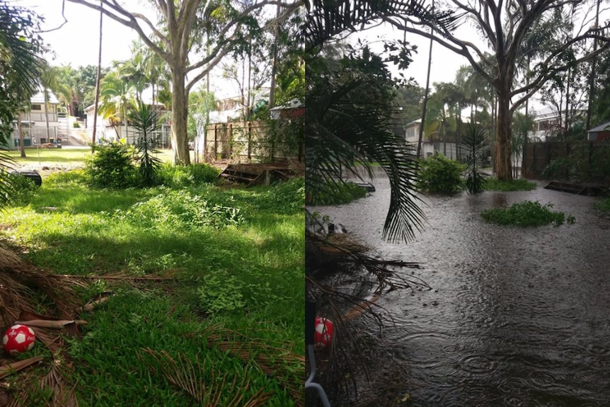 A before and after composite image of a overgrown backyard in Bulimba, Brisbane.