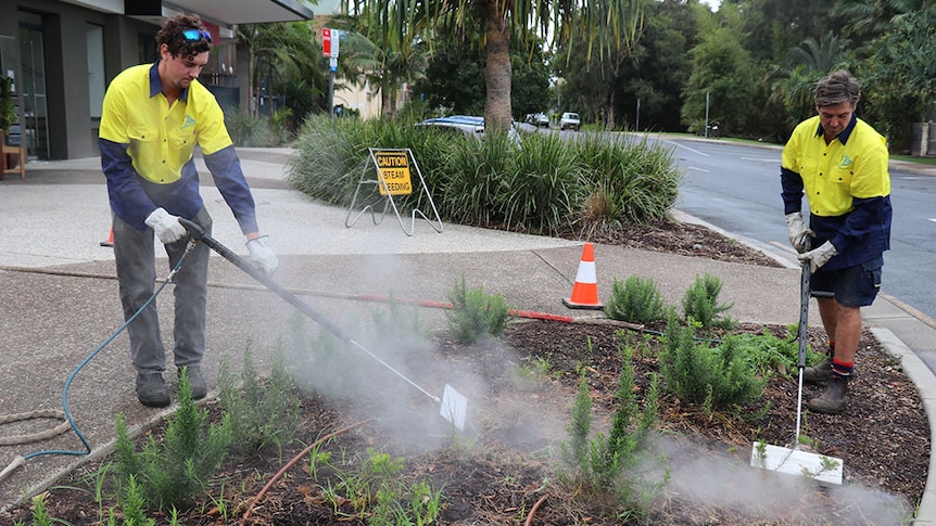 Byron Shire Council staff doing steam weeding
