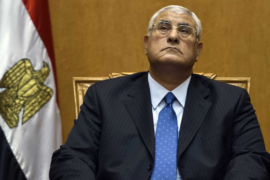 Egypt's interim president Adly Mansour
