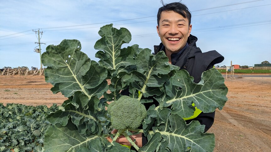 Thanh Truong holding a fresh broccoli with leaves attached at a farm.
