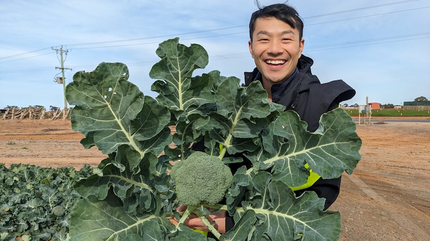 Thanh Truong holding a fresh broccoli with leaves attached at a farm.