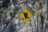 Bird sign at closed Shenton Park hospital grounds