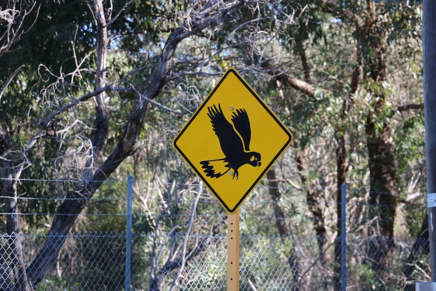 Bird sign at closed Shenton Park hospital grounds