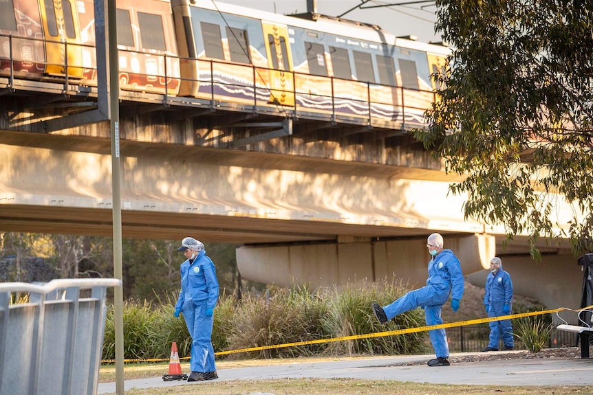 Forensic police officers at the scene where a body was found in Brisbane