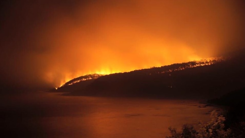 Lorne fires