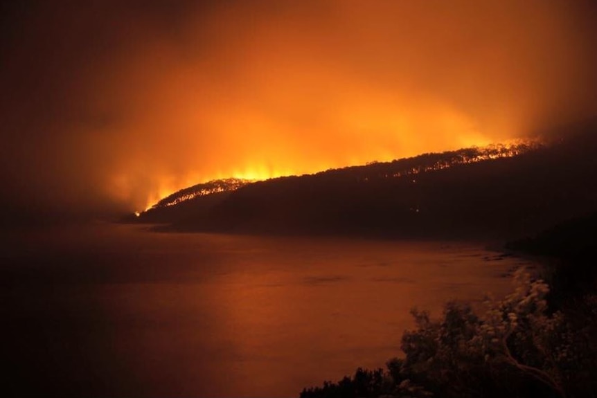 Lorne fires