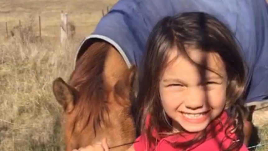 A smiling little girl with long, dark hair stands next to a horse in a paddock.