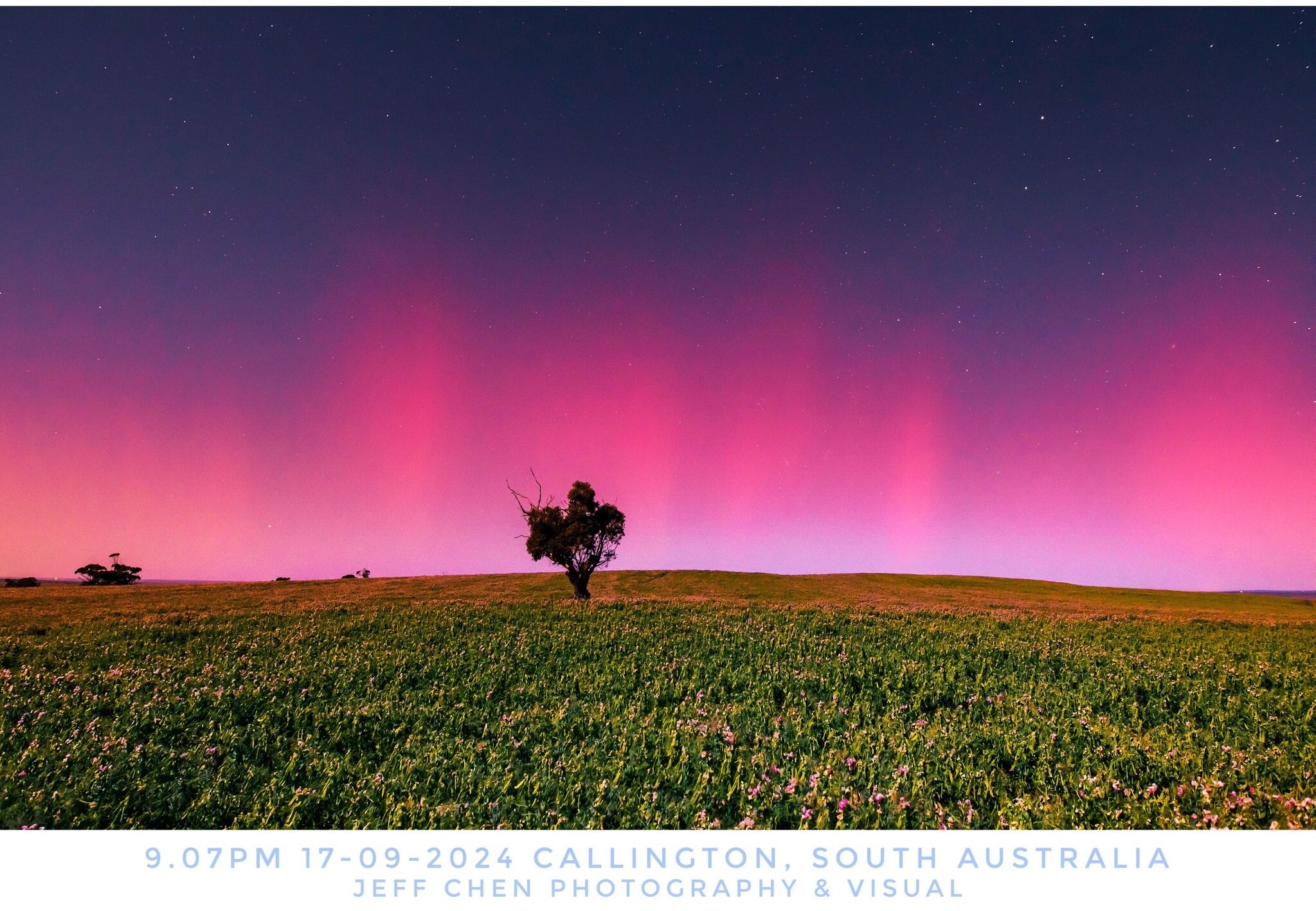 The bright moon dulled last night's aurora australis, but expect a