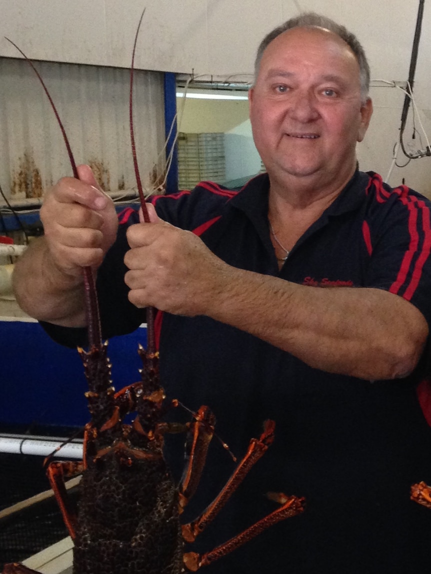 Andrew Lawrie, of Sky Seafoods in Robe.