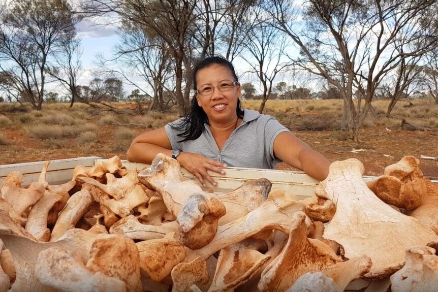 Woman standing behind a ute tray filled with camel bones.