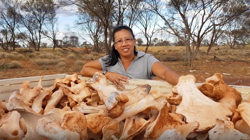 Woman standing behind a ute tray filled with camel bones.