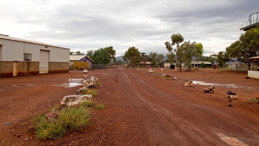 A dirt road runs through the Wingellina Aboriginal community, with buildings scattered on either side among bush trees.