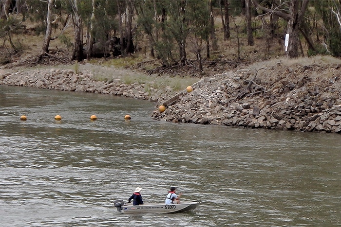 Retrieving sensor fish at Yarrawonga Weir