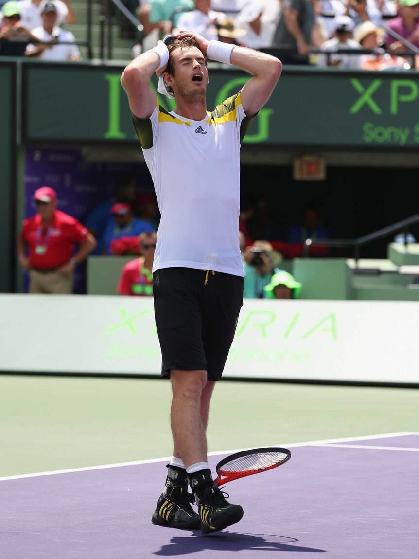 Gruelling contest ... Andy Murray celebrates match point against David Ferrer
