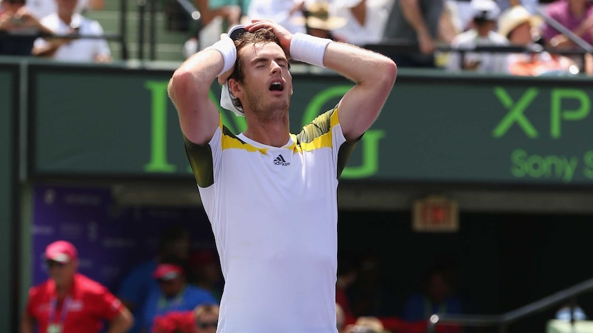 Gruelling contest ... Andy Murray celebrates match point against David Ferrer