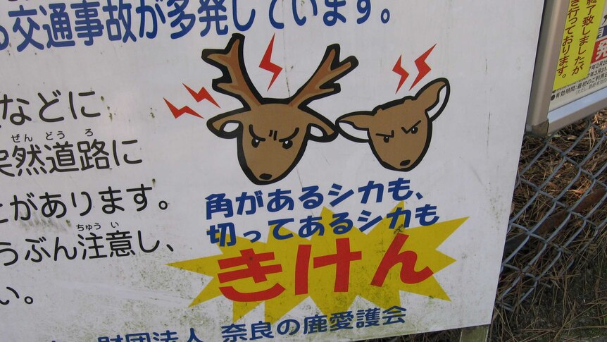 Deer tourists: angry deer sign