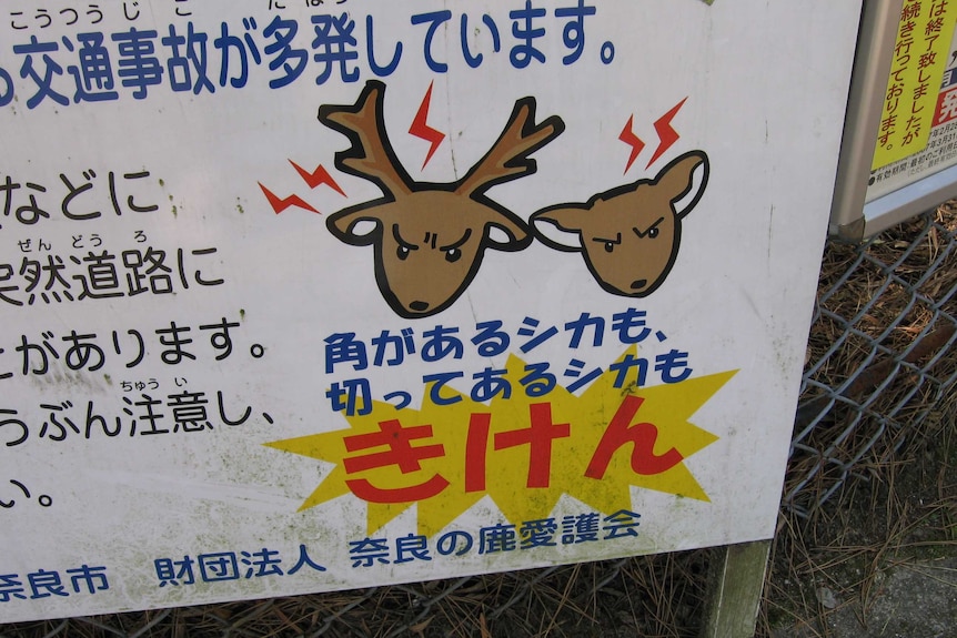 Deer tourists: angry deer sign