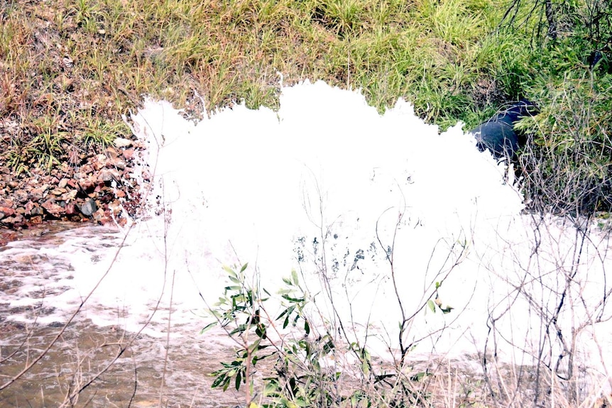 Treated water from the Mt Todd gold project