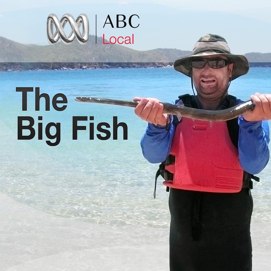 The Big Fish podcast image