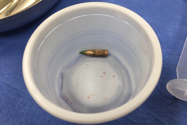 A golden-coloured, pointed bullet sits in a little plastic cup.