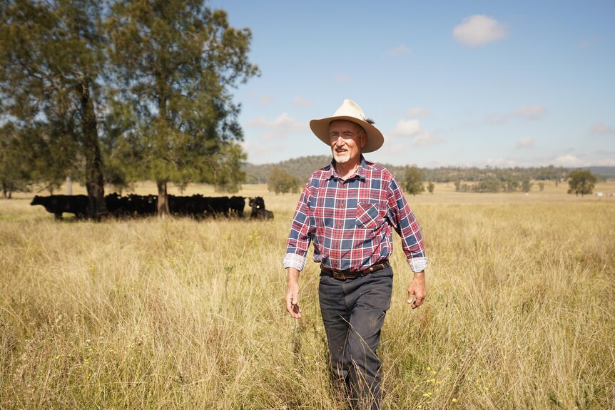 Keith Googe walking in long grass with cattle grazing in the background.