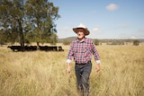 An older man with a broad hat walking in long grass with cattle grazing in the background.