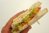 a close-up of a person's hand holding a chicken and salad sandwich made with white bread