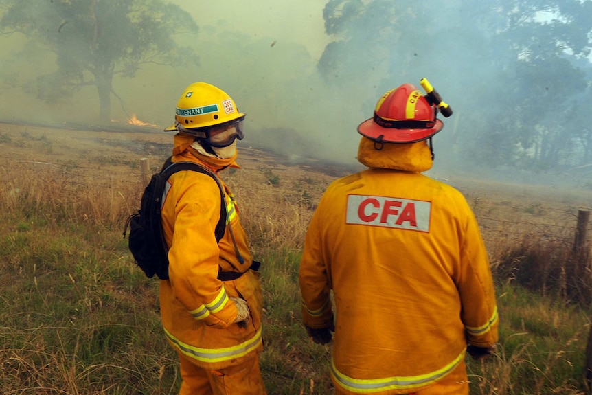 Two firefighters in a smoky field, with their backs to the camera.