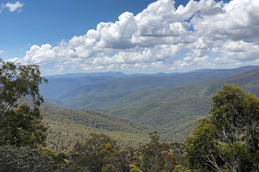 Valley in the Snowy Mountains