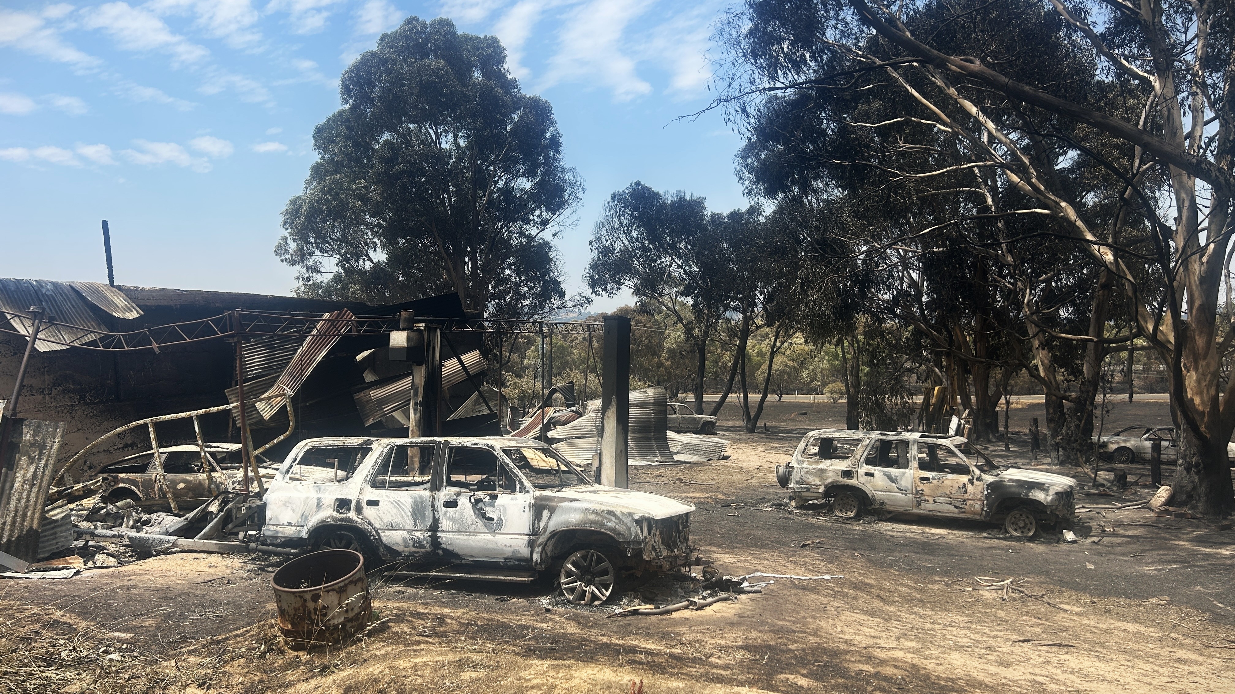 Dois carros queimados e um galpão entre eucaliptos carbonizados.