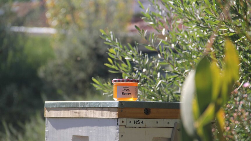 A pot of honey sitting on a bee hive