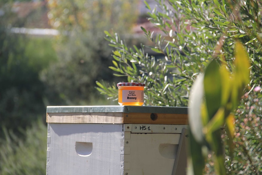 A pot of honey sitting on a bee hive