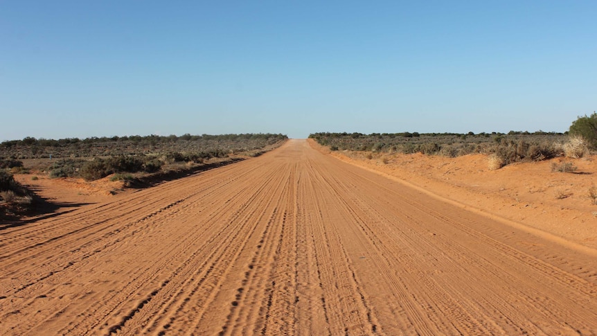 a red brown dirt road with dark green and dry shrubbery on the sides