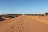a red brown dirt road with dark green and dry shrubbery on the sides