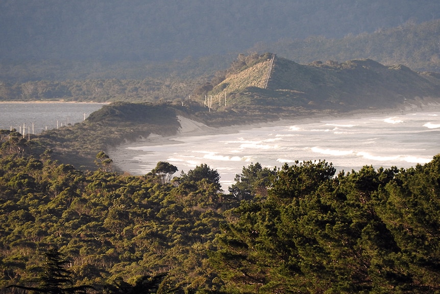 View looking at The Neck lookout on Bruny Island